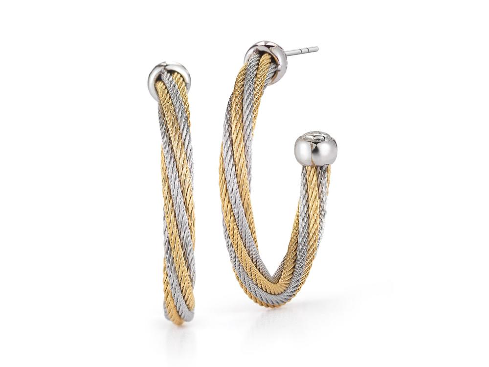 Earring 18k White Gold & Ss & Yellow, Gray Ss Cable