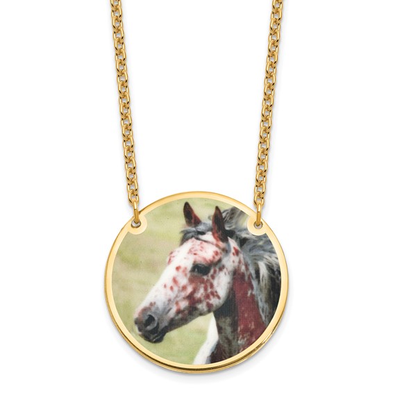 Gold-plated Large Picture Jewelry Disc Necklace