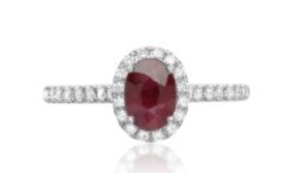 Oval Ruby with Diamond Halo and Diamond Shank Ring
