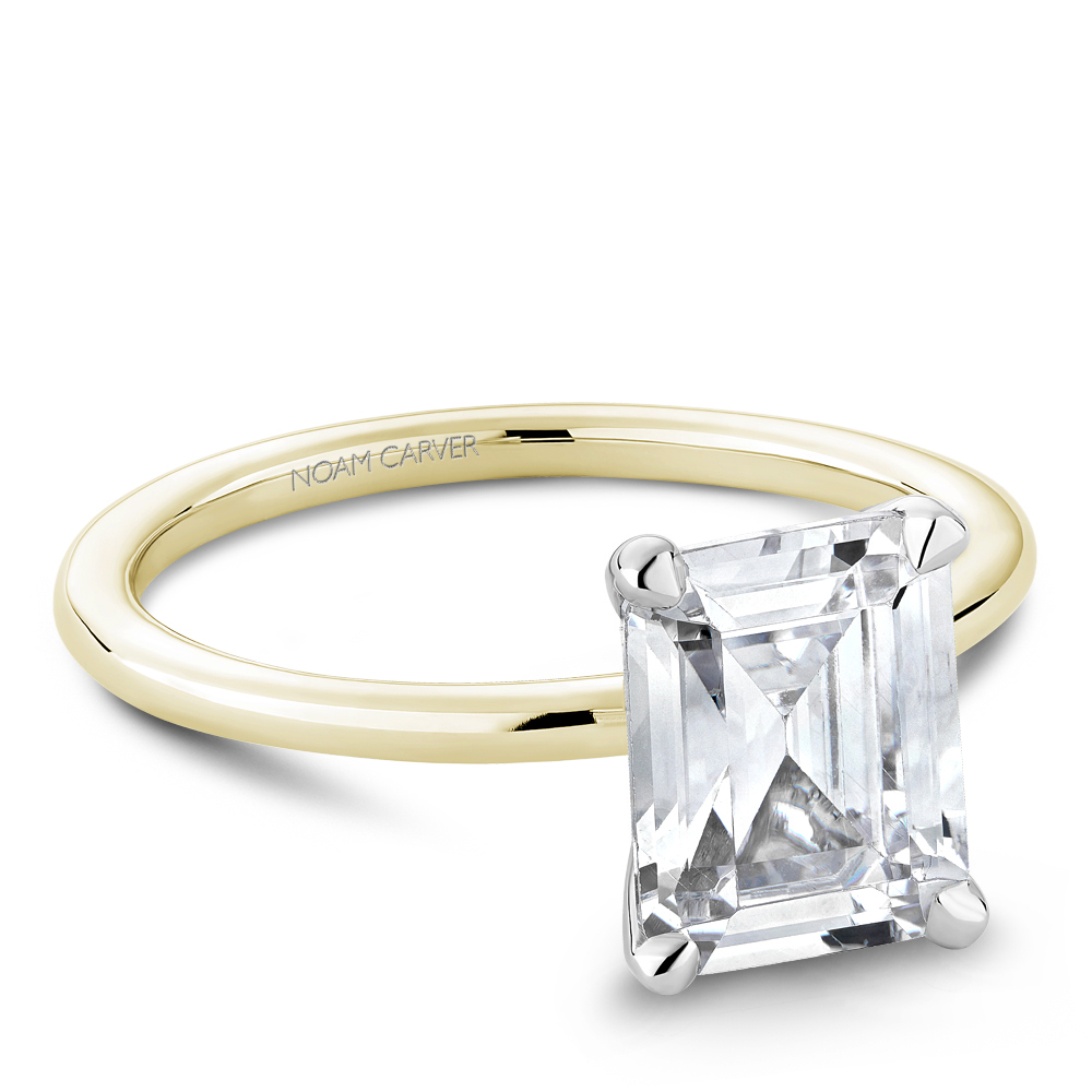 Solitaire Setting w/ Under Halo