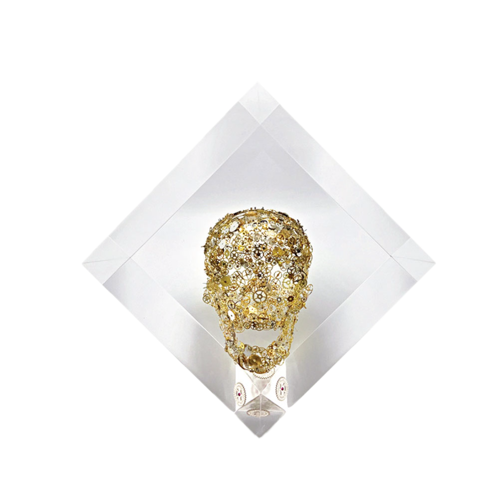 Berd Vaye Hallucination