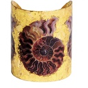 Fossil Cuff