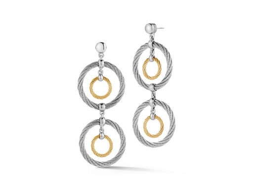 Double Drop Earrings