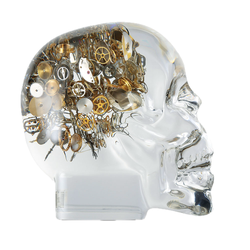 [BE.ACCE.0053468] Berd Vaye Small Skull