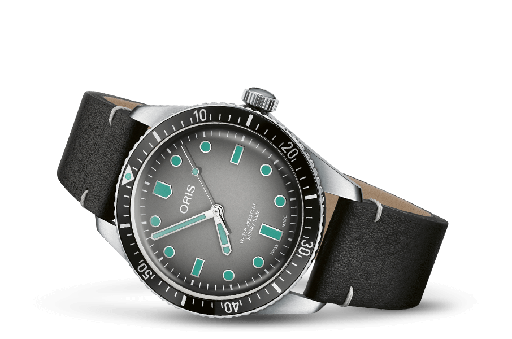 [OR.WATC.0054989] Diver Sixty-Five Grey Dial