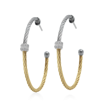 Colorblock Hoop Earrings