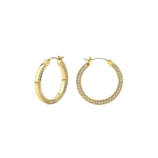 Polished Gold Hoop Earrings