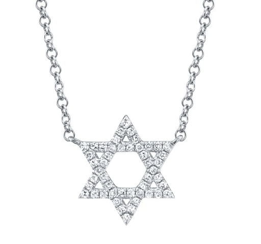 [DNCK.00081114] DIAMOND STAR OF DAVID NECKLACE